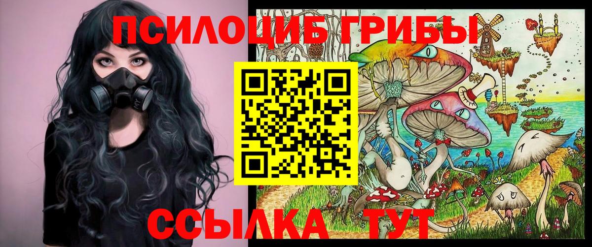 Галлюциногенные грибы Psilocybe  Вход с VPN  Нижнекамск 